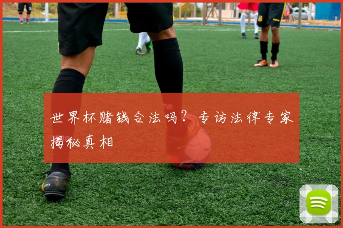世界杯赌钱合法吗?专访法律专家揭秘真相