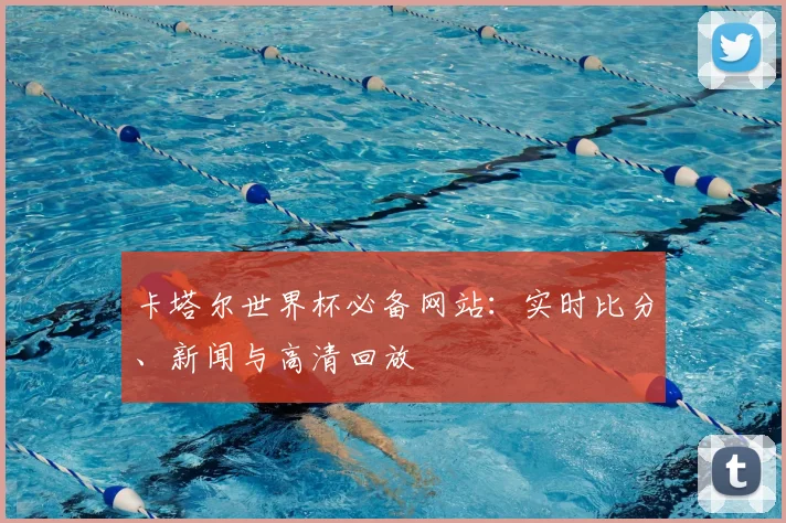 卡塔尔世界杯必备网站：实时比分、新闻与高清回放