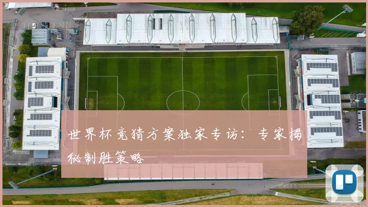 世界杯竞猜方案独家专访：专家揭秘制胜策略